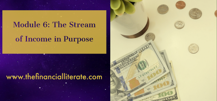 Module 6: The Stream of Income in Purpose