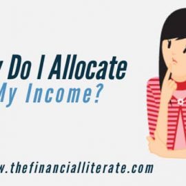 How Do I Allocate My Income? 50:30:20?